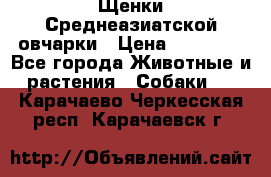 Щенки Среднеазиатской овчарки › Цена ­ 30 000 - Все города Животные и растения » Собаки   . Карачаево-Черкесская респ.,Карачаевск г.